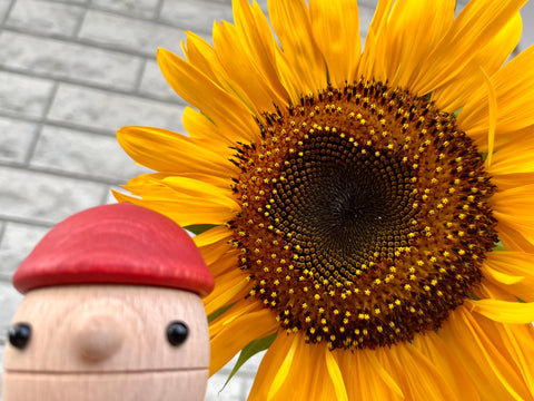 夏季休業のお知らせ