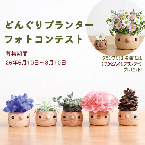 どんぐりプランター フォトコンテスト開催!